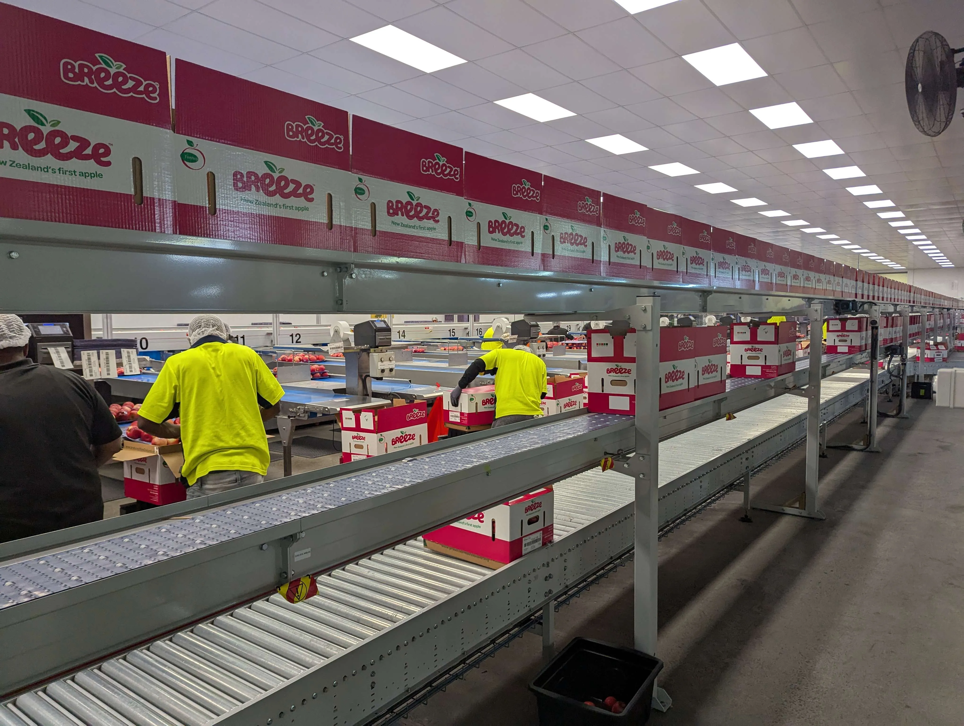 FreshCo case study photograph