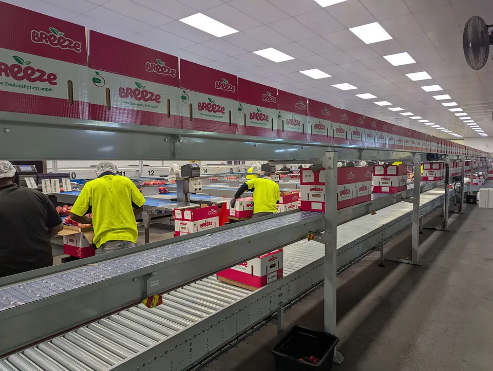 FreshCo case study photograph