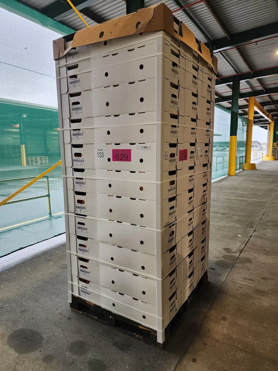 Partner Spotlight: Precision Monitoring project image